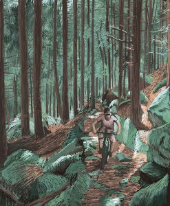 Black Forest – Digital Illustration. A Biker drives through the Black Forest flooded with light. Black Forest – limited Fine Art Print